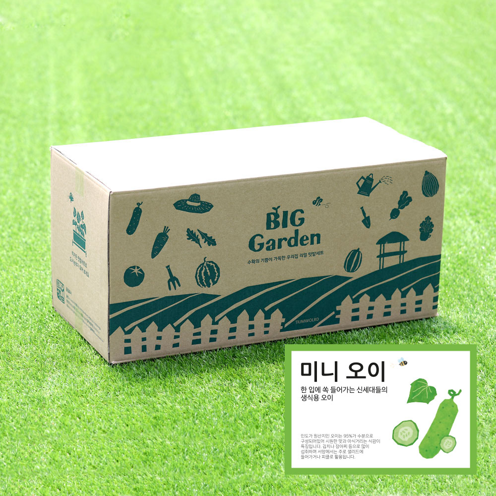 빅가든 텃밭세트 미니 오이 키우기 식물키우기 씨앗키트 자연학습 틔움세상 - 상세 이미지 2