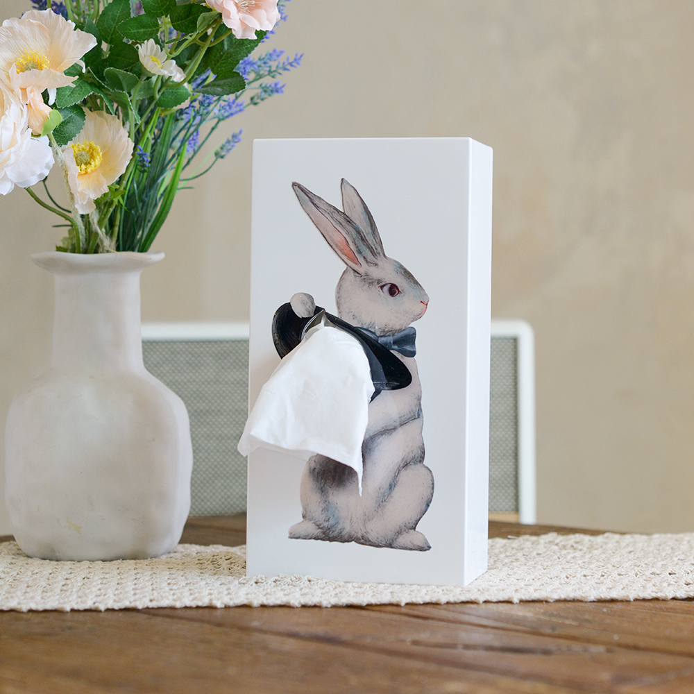 스펙트럼 티슈업걸(Tissue-Up Girl) 각티슈 케이스 인테리어 휴지 커버 제품 이미지