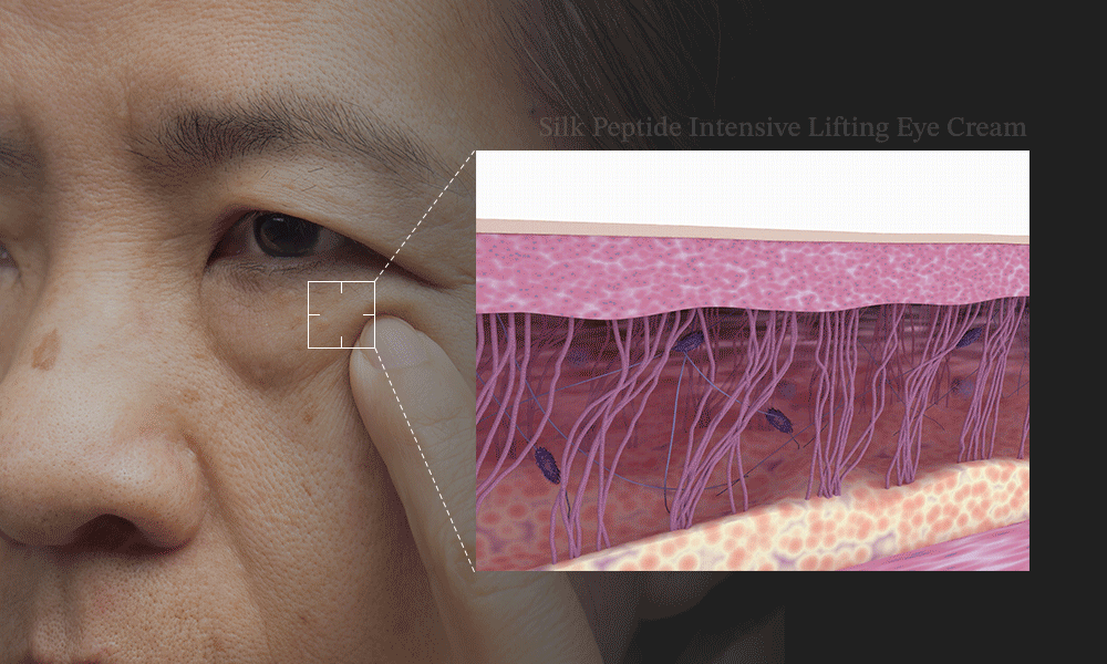 sungboon editor silk peptides eye cream