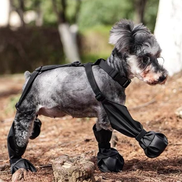 사계절 강아지산책 신발 장화 방수 신발 반려동물 외출