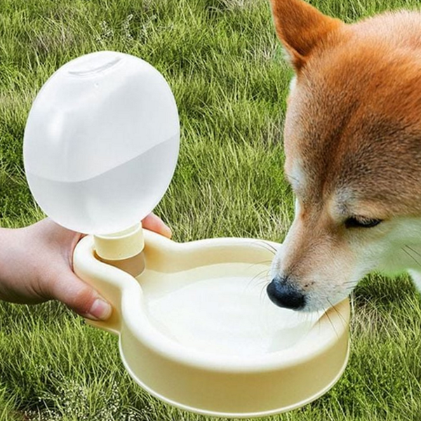 휴대용 강아지 물통 급수기 강아지 물병 산책 애견용 - 메인 이미지