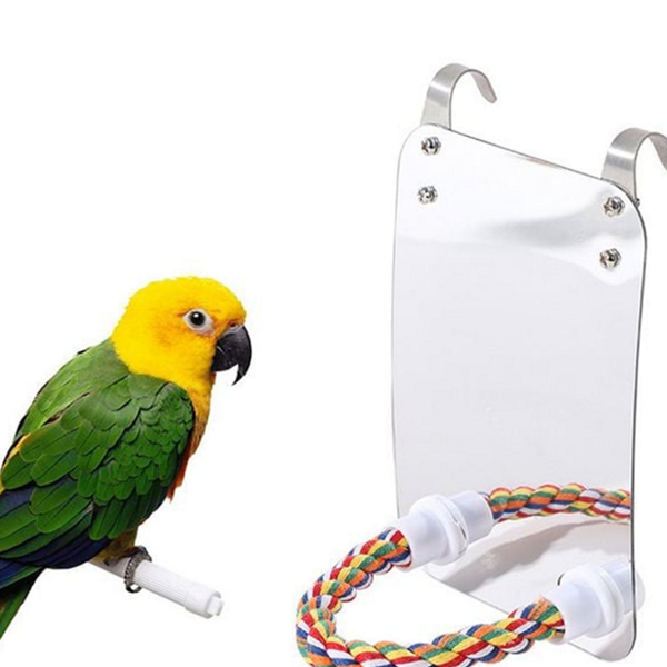 놀이터 앵무새 거울 횃대 훈련 앵무새 발톱 갈이