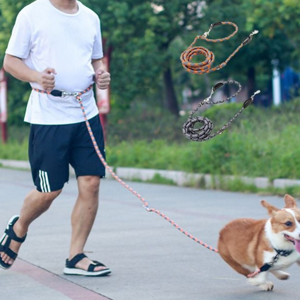 멀티 강아지 리드 줄 안전 핸즈 프리 리드 줄