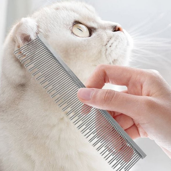 일자 강아지 털 빗 반려동물 고양이 털 빗 죽은 - 메인 이미지