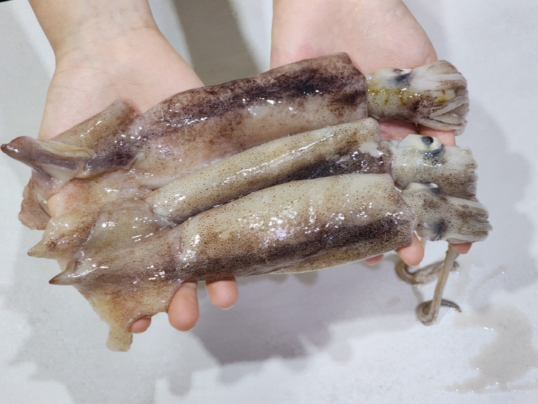 잡자마자 배에서 급냉 오징어 총알 1kg 냉동 통찜용 탱글한 식감 - 메인 이미지
