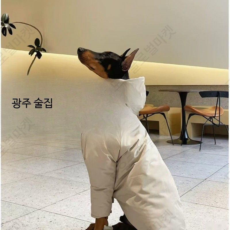 이탈리안그레이하운드패딩 대형견 빅사이즈 방한복 겨울 - 상세 이미지 5