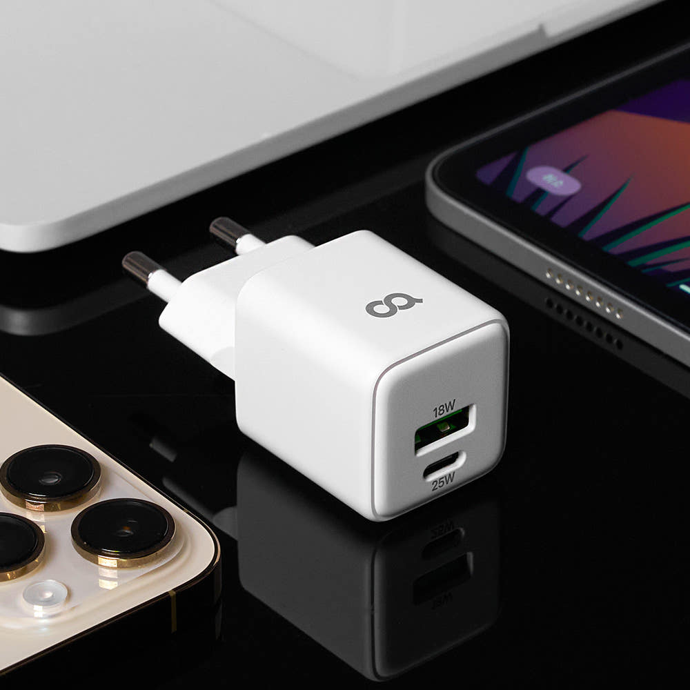 오아 25W 듀얼 고속 충전기