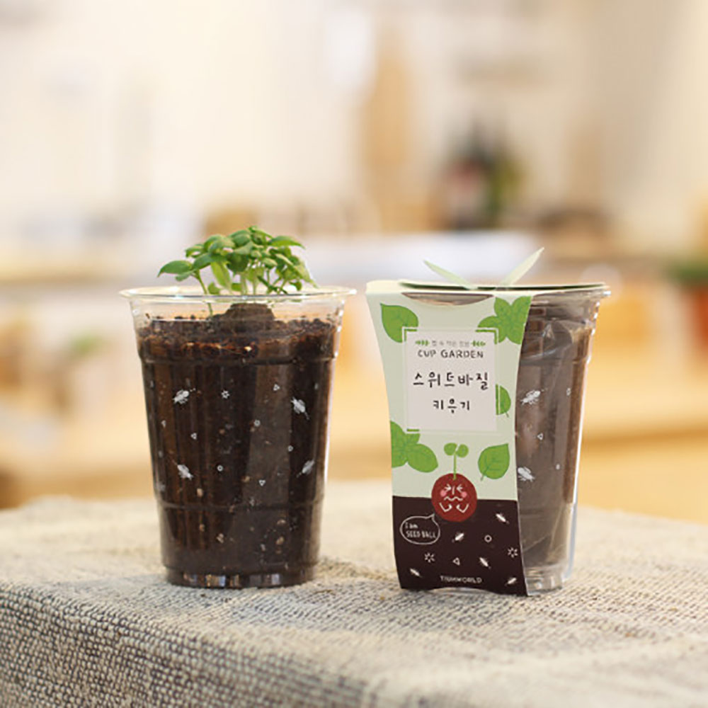 컵가든 스위트 바질 키우기 키트 식물키우기 씨앗키트 자연학습 틔움세상 - 상세 이미지 2