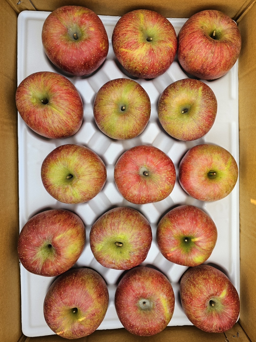 [해들애] 사과 경북 햇사과 부사 2KG/3KG/5KG (3KG 중대과) - 상세 이미지 4