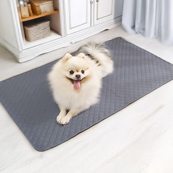 재사용 강아지 배변 패드 대형 애견 배변 패드 반려동물