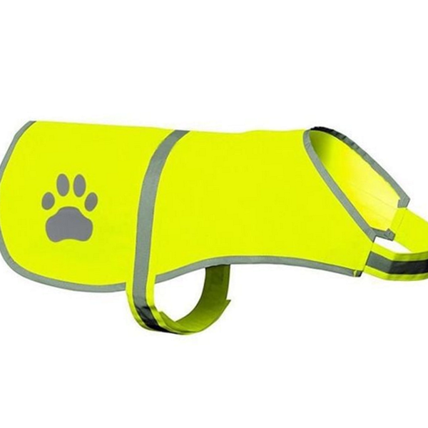 형광 강아지산책 조끼 야광 반려견 야간 조끼 반려동물