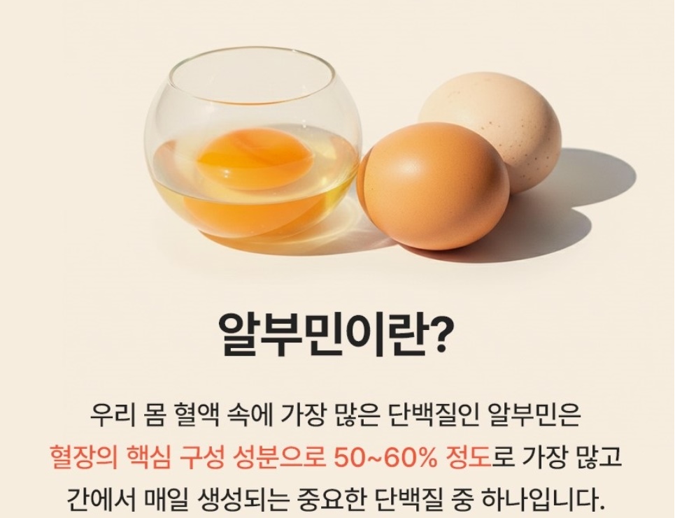 마시는 알부민 진액 10ml 50포 2개 고함량 난백 엄선된 부원료7가지 이미지 8