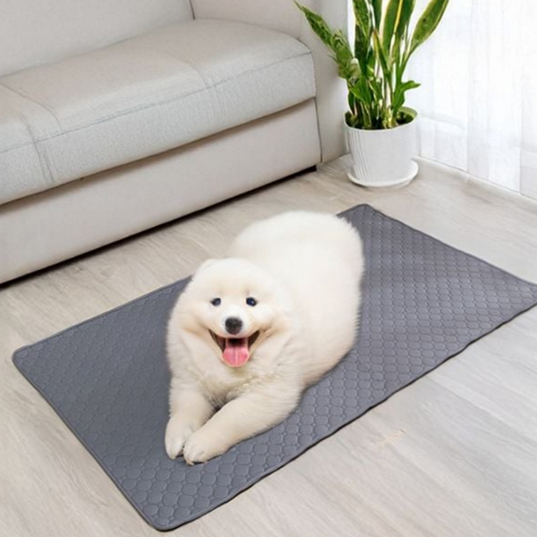 재사용 강아지 배변 패드 흡수력 애견 배변 패드 반려동물 - 상품 이미지