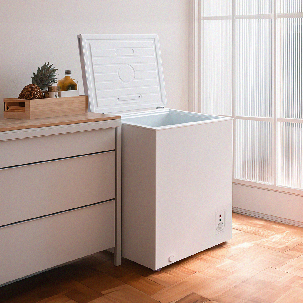더함 소형 미니 냉동고 스탠드 뚜껑형 냉동고 화이트 99L