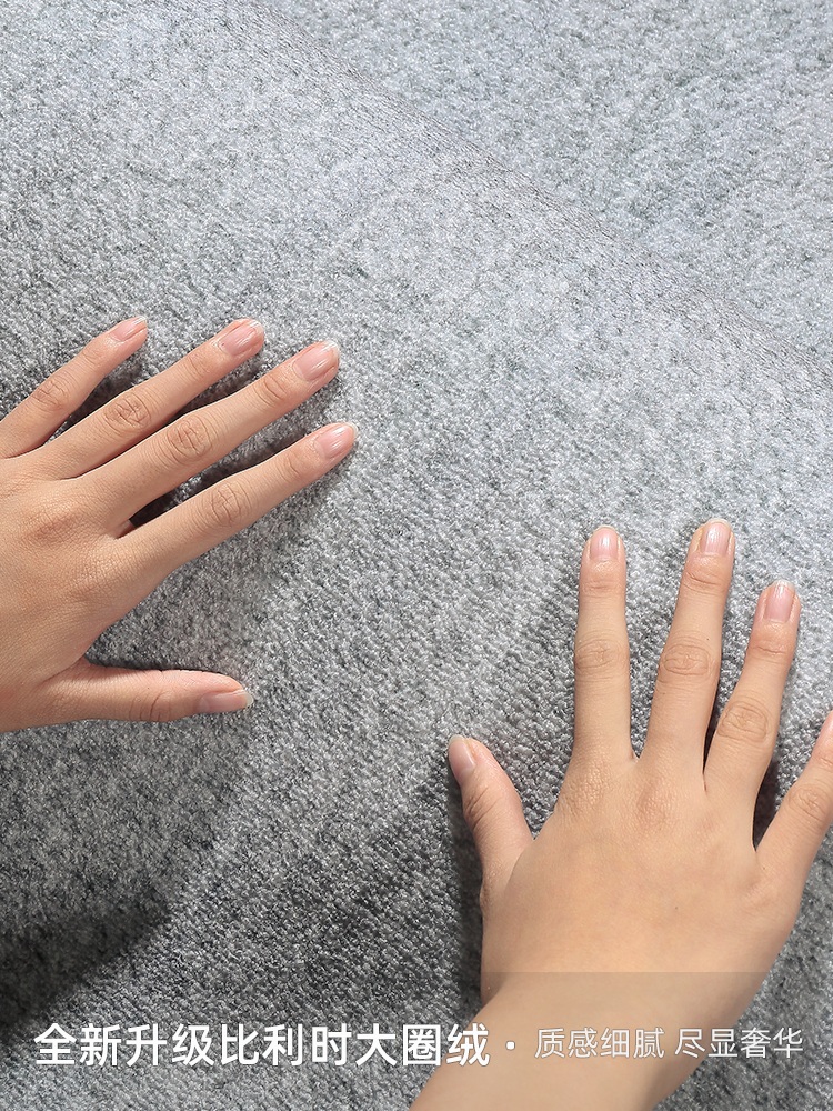 북유럽풍 거실러그 매트 카페트 먼지없는카페트 층간소음 깔개 물세탁 - 상세 이미지 5
