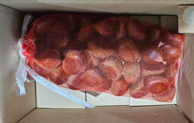 부여 햇밤 생율 생 왕밤 알밤 1kg, 1개 - 상세 이미지 3