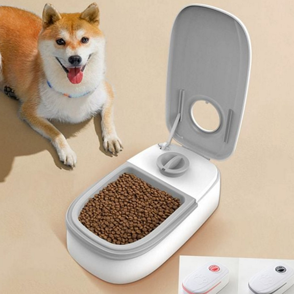 타이머 반려동물 자동 급식기 고양이 강아지 자동 급식기 배식기