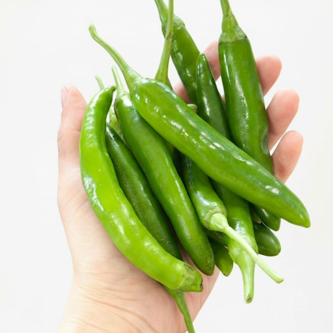 품질보장 아삭 달콤한 국내산 오이고추(특) 1kg, 1개 - 상품 이미지