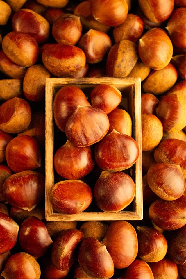 부여 햇밤 생율 생 왕밤 알밤 10kg, 1개 이미지 6