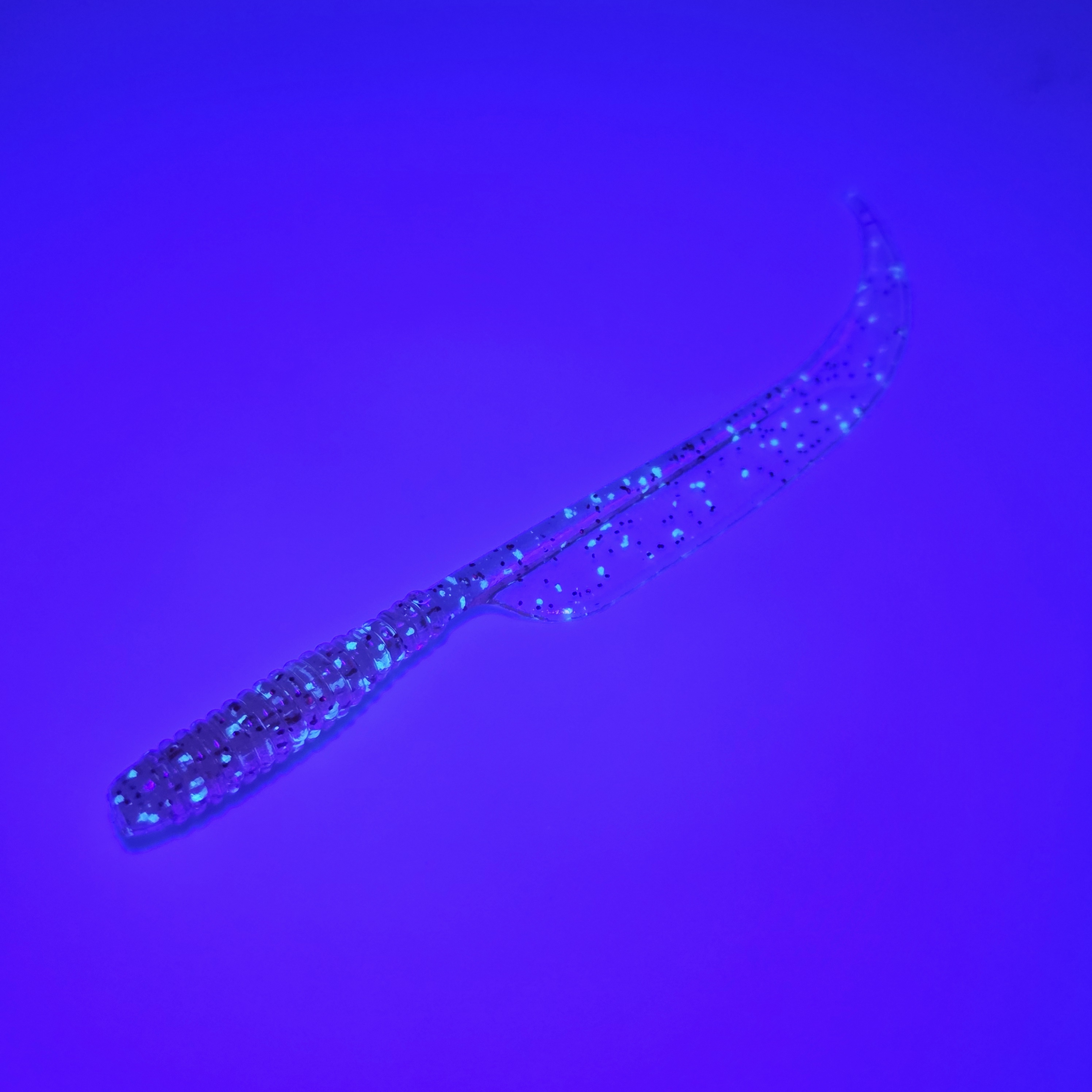 캣츠크로우 환도웜 전갱이 아징 볼락웜 005 클리어 레드 펄, 6.3cm - 상세 이미지 2