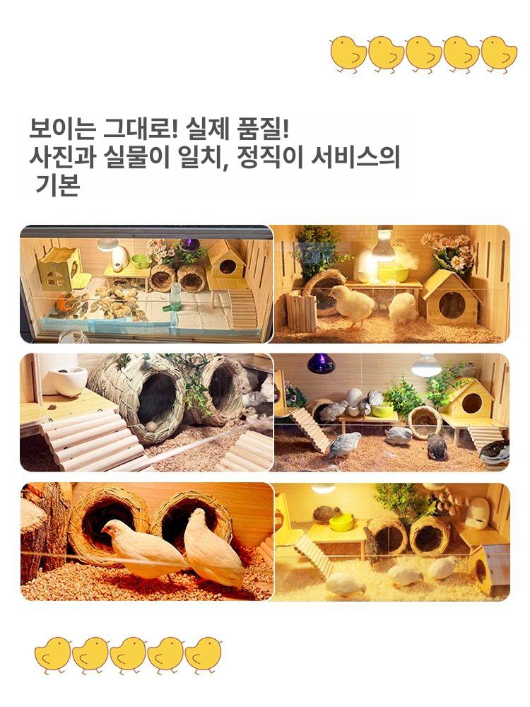 가정용 병아리 키우기 미니메추리 새장 햄스터 케이지 40x30x30-천창형 기본상자 1-3마리 - 상세 이미지 5