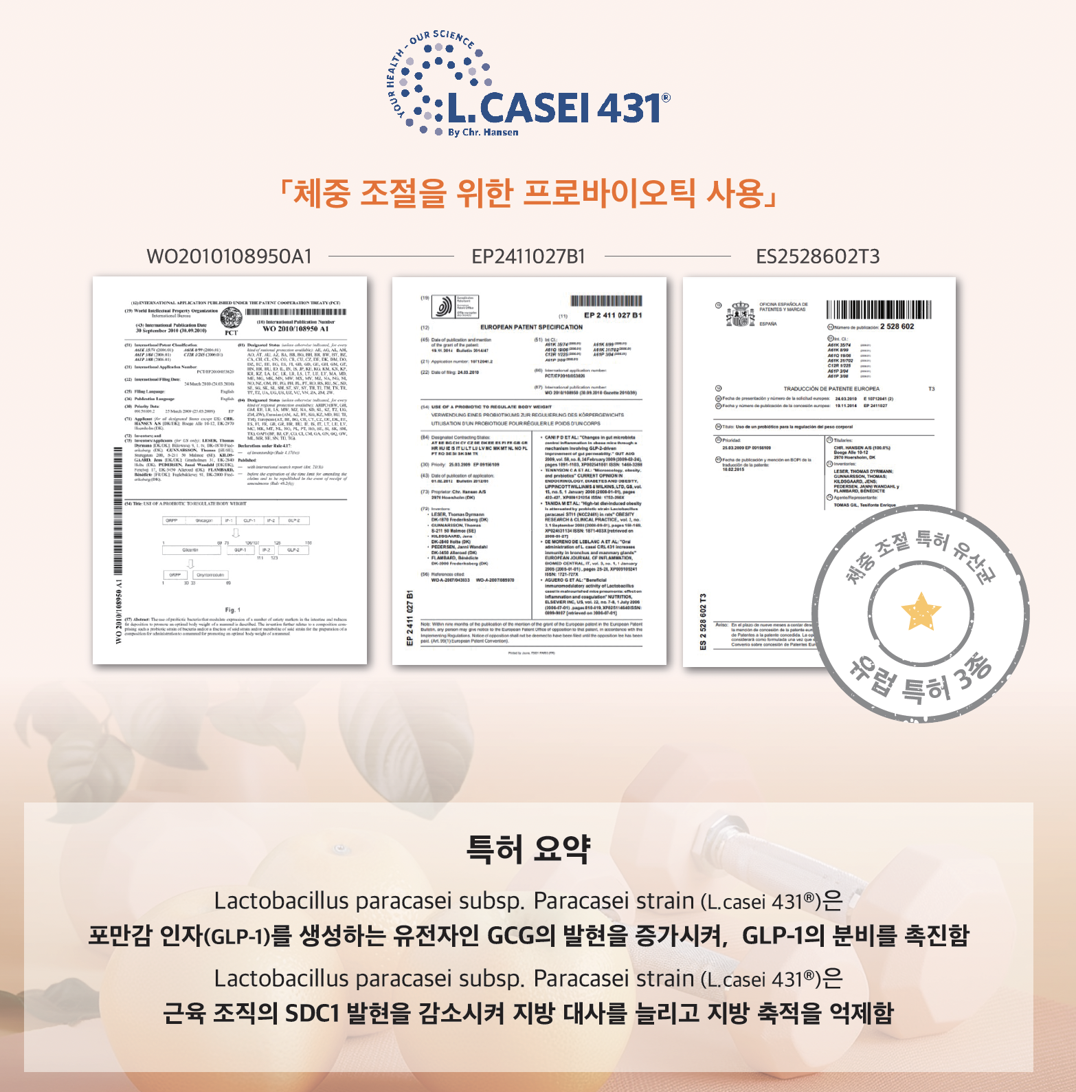 체중조절특허 원료 먹는 위고full 식욕억제 포만감다이어트 위고풀 - 상세 이미지 2