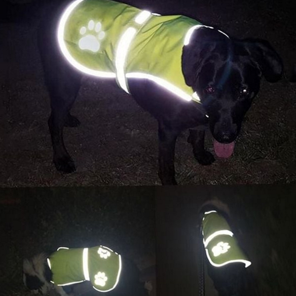 안전 애견 야간 조끼 형광 강아지산책 조끼 반려견
