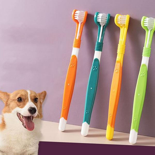3면 강아지 칫솔 고양이 반려동물 칫솔 구강 치석