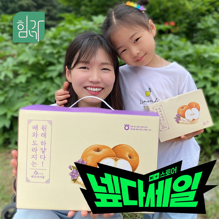 힘가네 도라지배즙 1박스(80ml x 40개입) - 메인 이미지