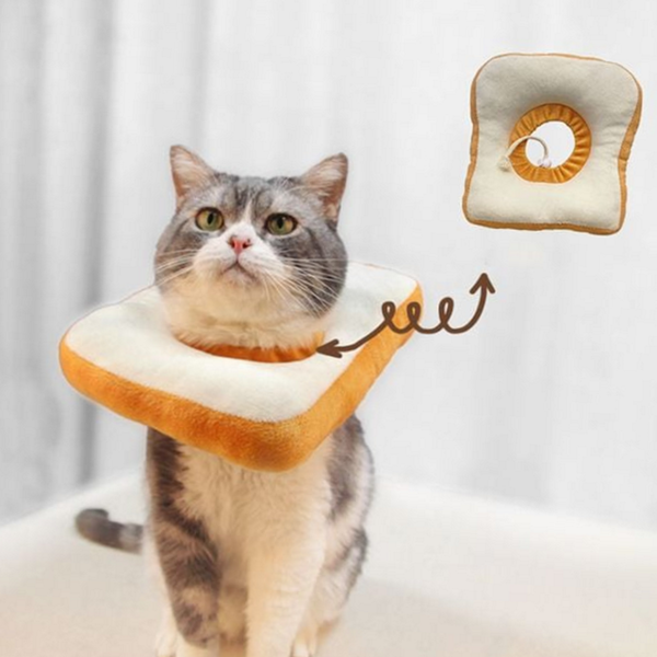 반려동물 강아지 넥 카라 애묘 고양이 넥 카라 깔대기 - 메인 이미지