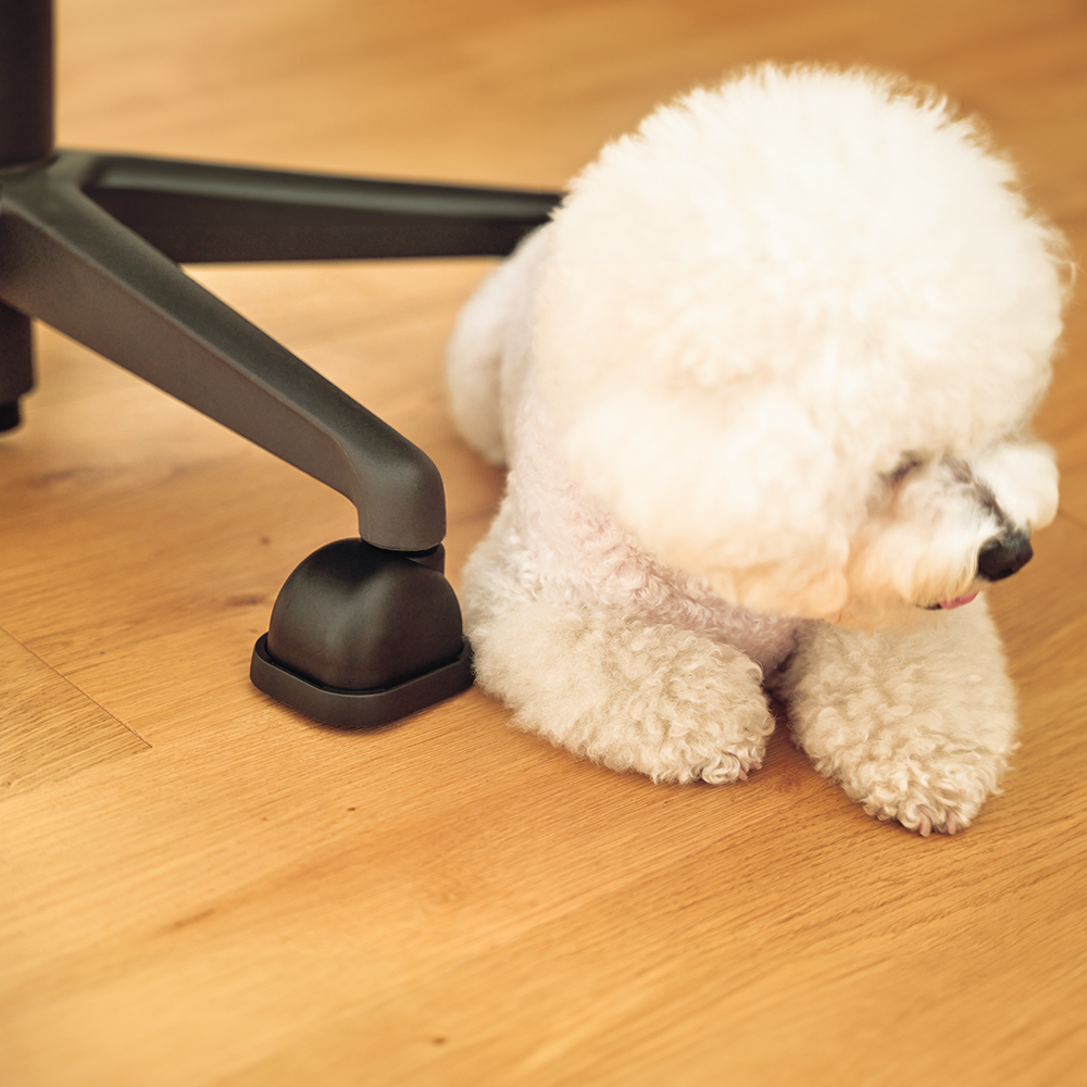 [커버드휠] 안전 의자바퀴 강아지 고양이 끼임 방지 - 상품 이미지