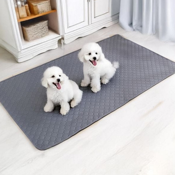 빨아 애견 배변 패드 대형 강아지 배변 패드 반려동물