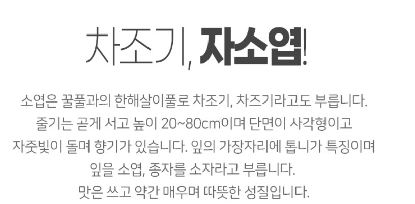 어성초 자소엽 녹차 헤어스프레이 150ml 이미지 8