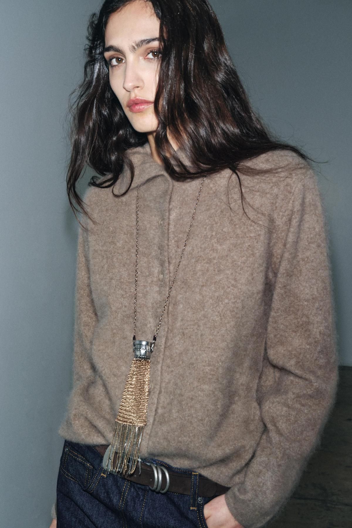 자라 브러쉬드 울 하이넥 재킷 2893/142 BROWN / TAUPE - 상세 이미지 2