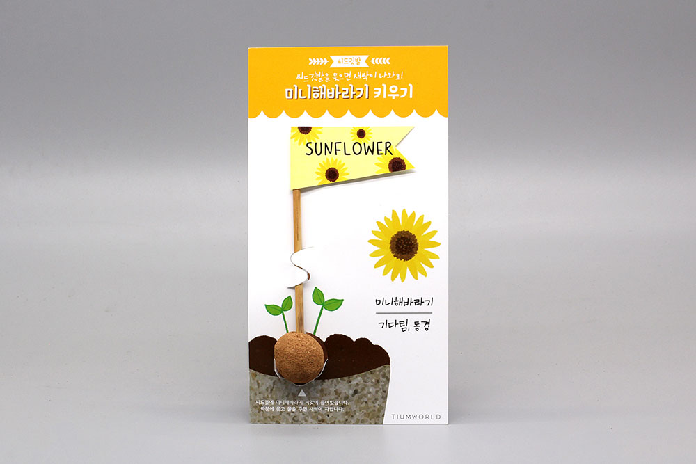 씨드깃발 미니 해바라기 키우기 키트 식물키우기 씨앗키트 자연학습 틔움세상 - 상세 이미지 2