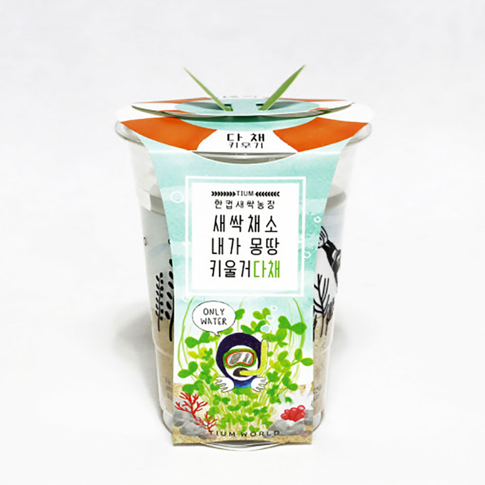 한컵새싹농장 다채 키우기 키트 식물키우기 씨앗키트 자연학습 틔움세상 - 상세 이미지 2