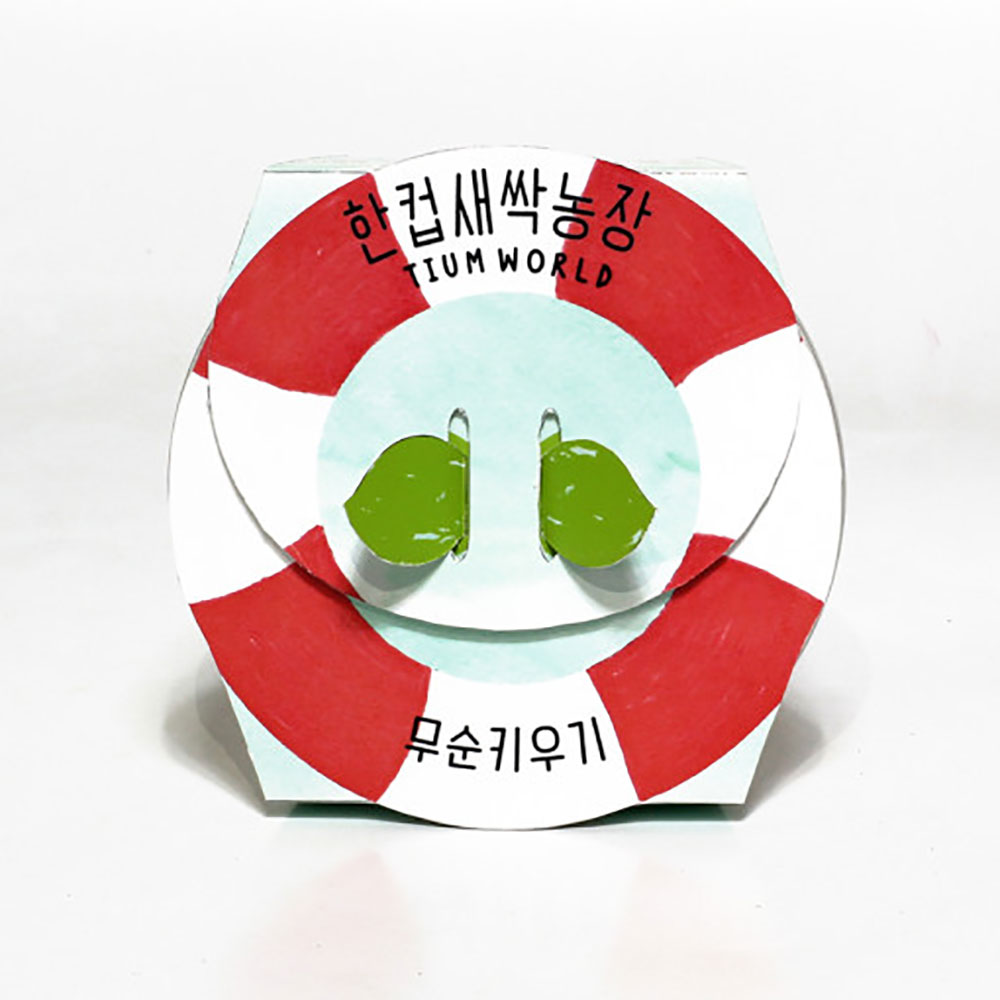 한컵새싹농장 무순 키우기 키트 식물키우기 씨앗키트 자연학습 틔움세상 - 상세 이미지 4