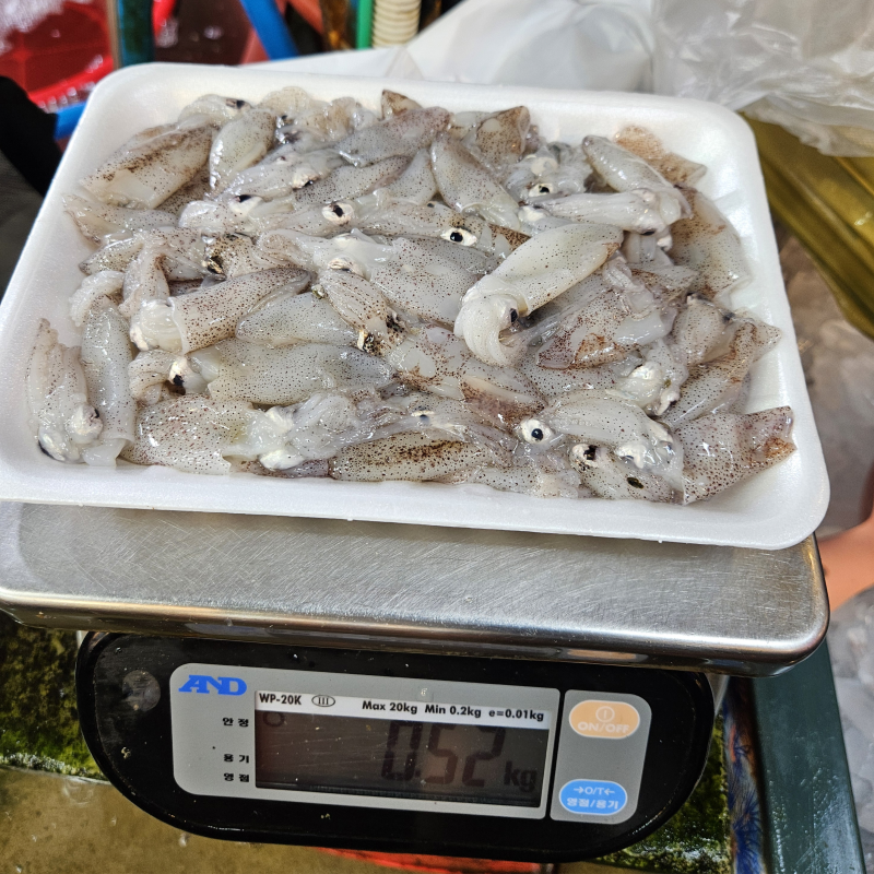 자연가득 생물 급냉 호래기 500g 60미 내외 - 상세 이미지 4