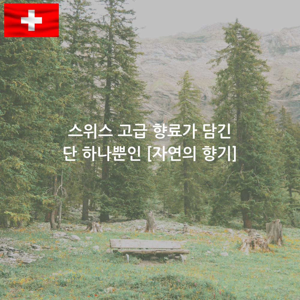 보태니컬 아로마 자연 섬유향수 피톤치드 스프레이 미스트 3종 세트