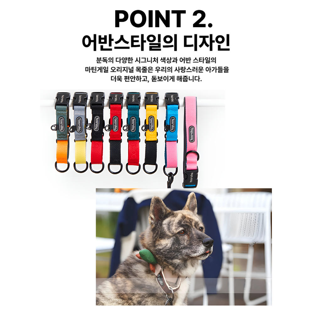 마틴게일목줄 분독 목줄 아기 강아지 리드줄 세트 - 상세 이미지 4