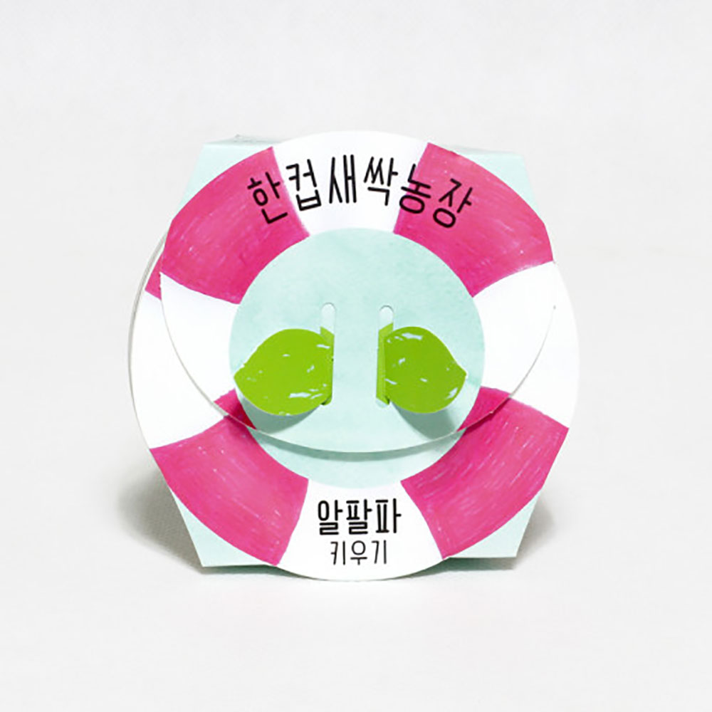 한컵새싹농장 알팔파 키우기 키트 식물키우기 씨앗키트 자연학습 틔움세상 - 상세 이미지 3
