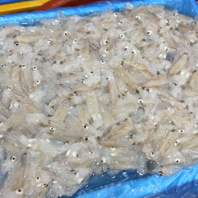 자연가득 생물 급냉 호래기 500g 60미 내외 - 상세 이미지 3