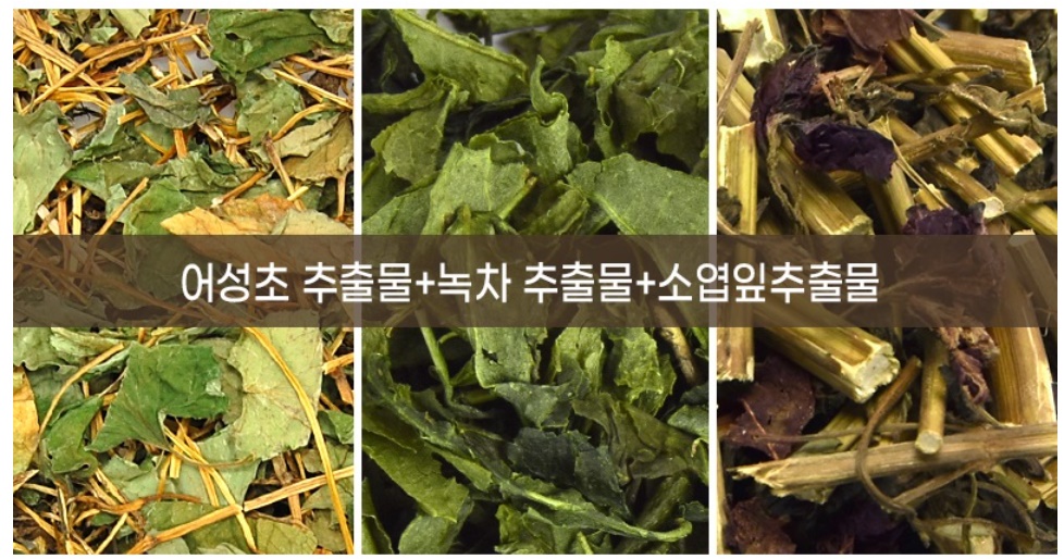 어성초 자소엽 녹차 헤어스프레이 150ml 이미지 6
