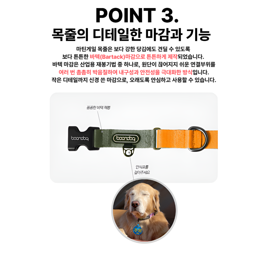 마틴게일목줄 분독 목줄 아기 강아지 리드줄 세트 - 상세 이미지 5