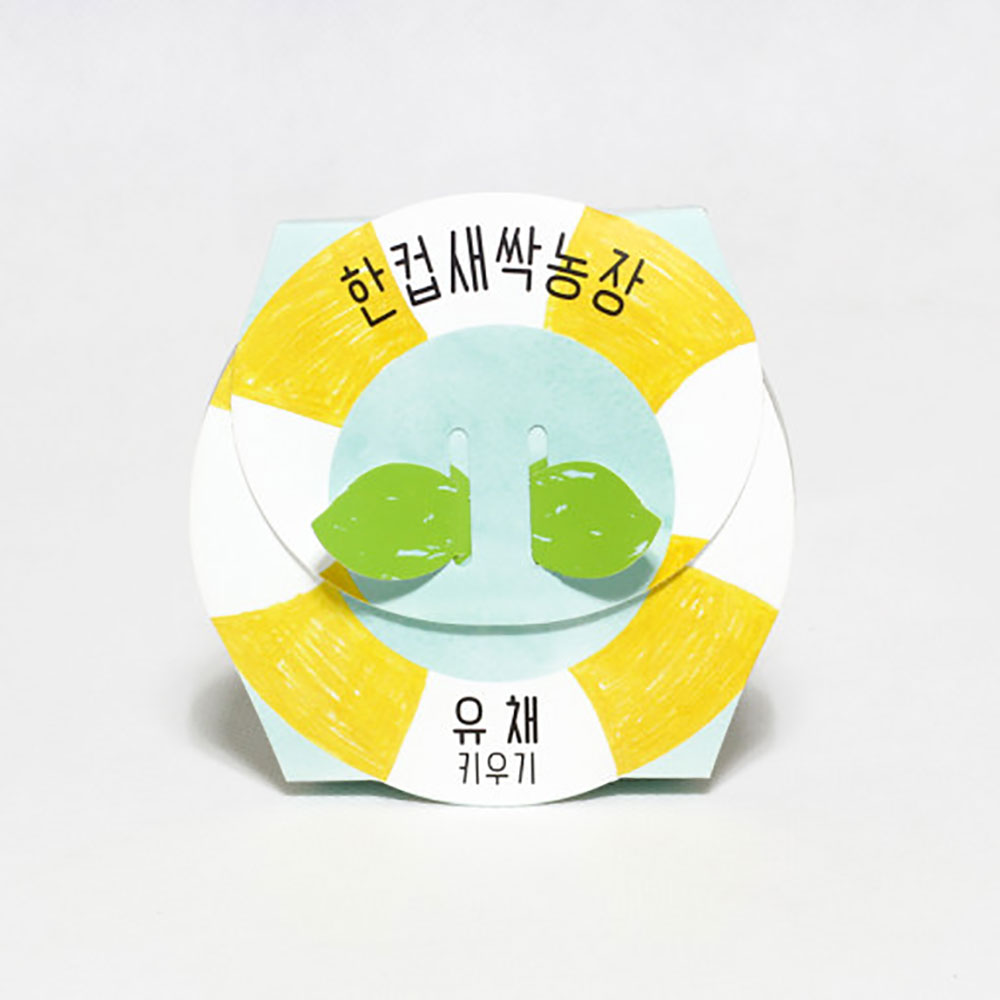 한컵새싹농장 유채 키우기 키트 식물키우기 씨앗키트 자연학습 틔움세상 - 상세 이미지 5