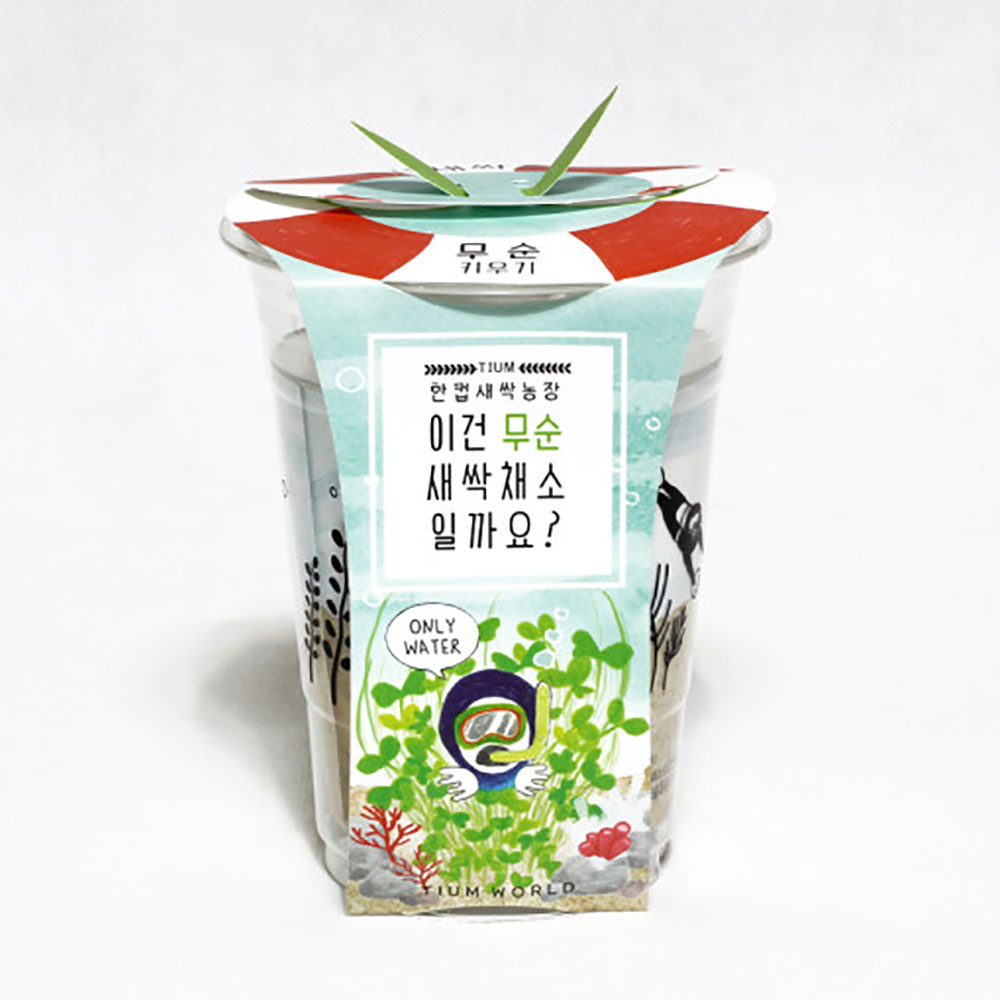 한컵새싹농장 무순 키우기 키트 식물키우기 씨앗키트 자연학습 틔움세상 - 상세 이미지 3