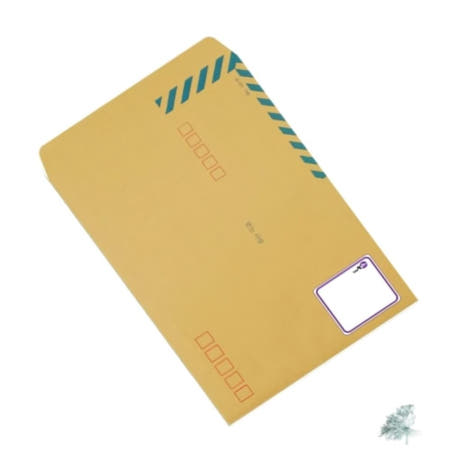 별동샤인 행정각대봉투 A4 10매입 소송기록봉투 각봉투