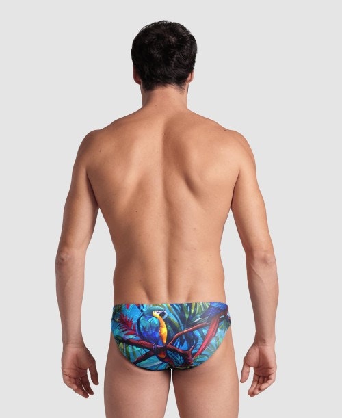 아레나 Hawaii Brief Limited Edition - 상세 이미지 5
