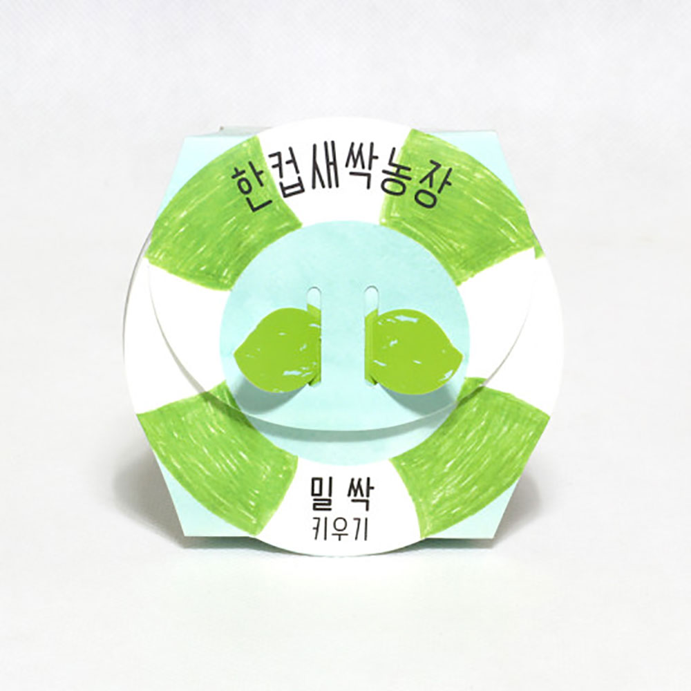 한컵새싹농장 밀싹 키우기 키트 식물키우기 씨앗키트 자연학습 틔움세상 - 상세 이미지 5