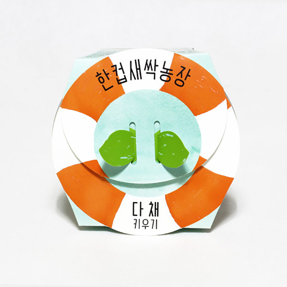 한컵새싹농장 다채 키우기 키트 식물키우기 씨앗키트 자연학습 틔움세상 - 상세 이미지 5